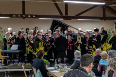 gesangverein_110jahre_2
