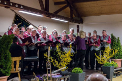 gesangverein_110jahre_40