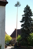DSCF0480