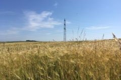 schuetzenverein_50_jahre_2017_5